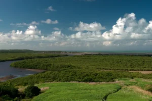 MPF ajuíza ação para garantir proteção de reserva extrativista entre PE e Paraíba