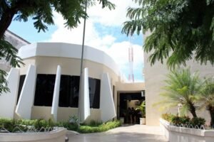 Proposta de lei que estabelece “CarnavAU Pet” em João Pessoa provoca risos no plenário e é rejeitada pela CMJP
