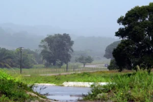 João Pessoa amanhece com chuva e está sob alerta de alagamentos e deslizamentos