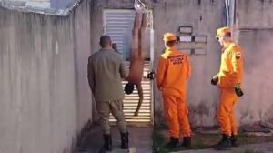 Homem tenta invadir casa da ex e acaba nu e pendurado em muro