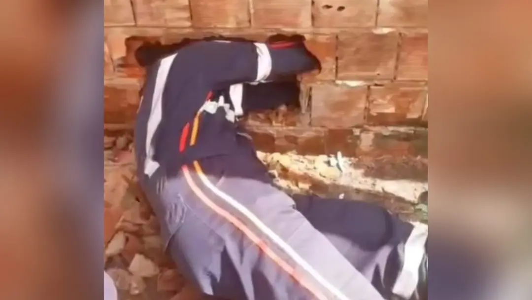 Prefeitura de Alhandra resgata recém-nascido abandonado em Cupissura