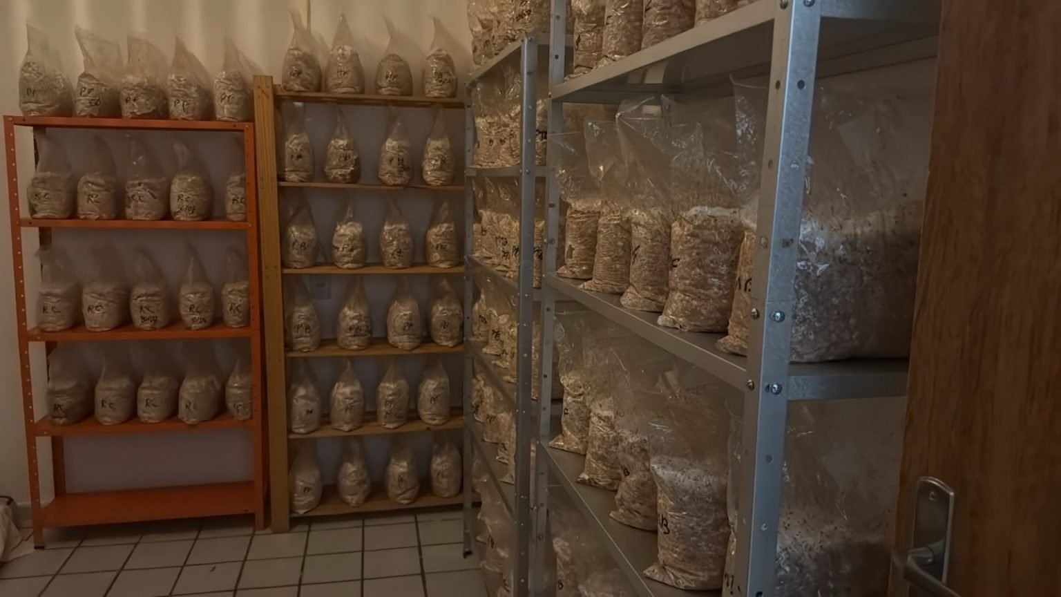 PF prende gangue que vende drogas pelas redes sociais