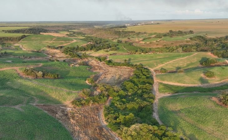 Operação autua mais de 230 hectares de desmatamento ilegal na Paraíba