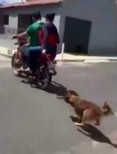 Cachorro é amarrado e arrastado por moto em cidade na Paraíba; veja vídeo
