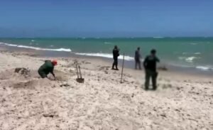 Golfinho é encontrado morto em praia de Cabedelo; animal estava ferido